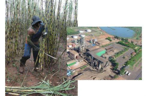  Usina de a&ccedil;&uacute;car &eacute; condenada a pagar R$ 10 milh&otilde;es por explorar trabalhadores 