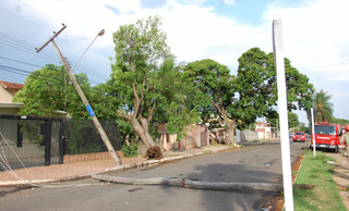 Na Silveira Martins, árvore e postes foram para o chão. (Foto: Pedro Peralta)