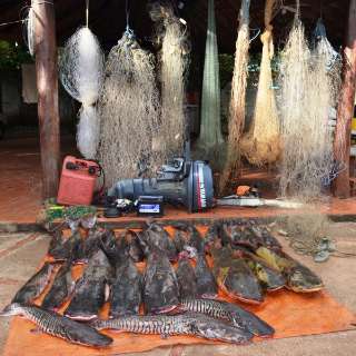 PMA amplia em 66% a quantidade de peixes apreendidos na Piracema