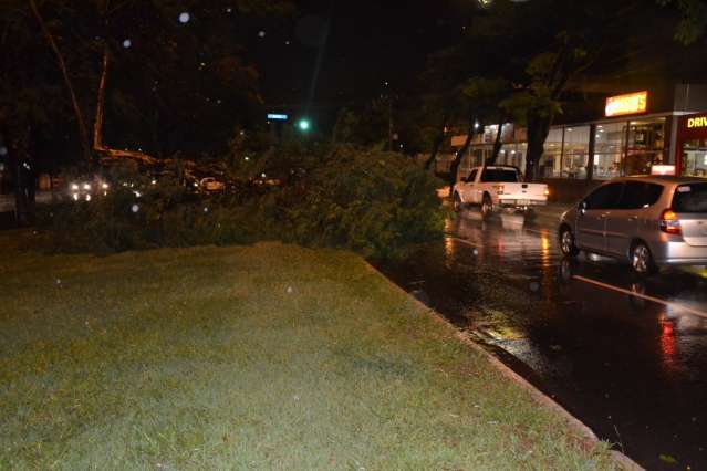 Ventos atingem 90 km/h, derrubam &aacute;rvores, sem&aacute;foro e placas