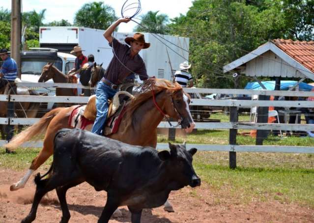 Uno capota e acidente mata m&eacute;dico veterin&aacute;rio e treinador na MS-080