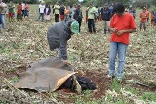 Corpo foi encontrado em uma plantação de milho colhido. (Foto:Dourados News)