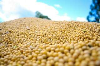 Colheita da soja está com atraso de, aproximadamente, 1,6% em relação ao mesmo período de 2014 (Foto: Marcos Ermínio)
