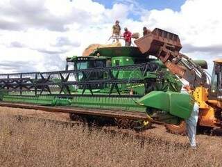 Chuva compromete colheita de soja e região Sul do Estado pode perder de 10% a 20% dos grãos.  (Foto: Direto das Ruas)