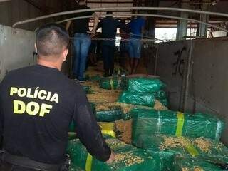 Carreta transportava 10,7 toneladas de maconha escondidas em carga de milho (Foto: Adilson Domingos)