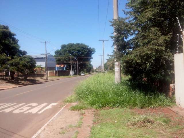 Terreno baldio pr&oacute;ximo de escola preocupa  moradores do bairro Morumbi