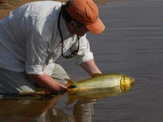 Pescador soltando dourado em rio. (Foto: JDS Turismo/Reprodução)