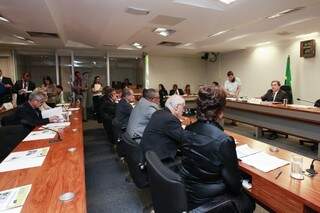 Moka, presidente da CAS, disse que Senado votará com urgência projeto que reforça guarda compartilhada (Foto: Divulgação)