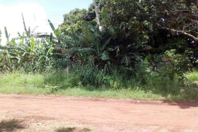 Servidor estadual denuncia tr&ecirc;s terrenos tomado pelo mato e sujeira em bairro