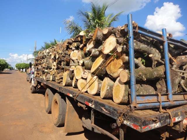 Motorista &eacute; multado por transportar lenha sem autoriza&ccedil;&atilde;o ambiental 