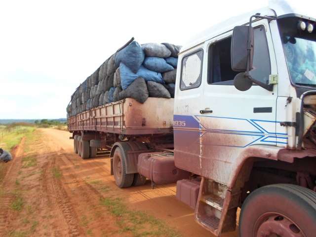 PMA apreende carreta carv&atilde;o ilegal e d&aacute; multa de R$ 13,8 mil para empresa
