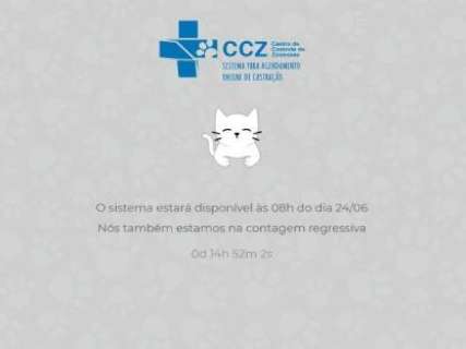 Pelo sistema on-line, CCZ agenda castração de gatos nesta segunda-feira