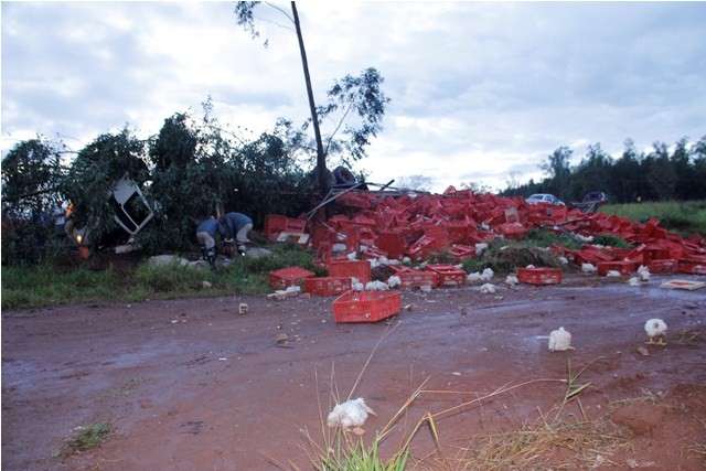Motorista perde controle da dire&ccedil;&atilde;o e caminh&atilde;o com frangos tomba em curva