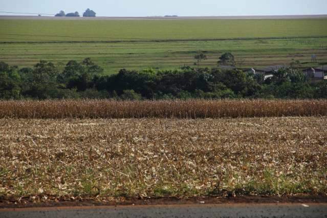 Palestra orienta agricultores sobre a influ&ecirc;ncia do clima na safra de gr&atilde;os