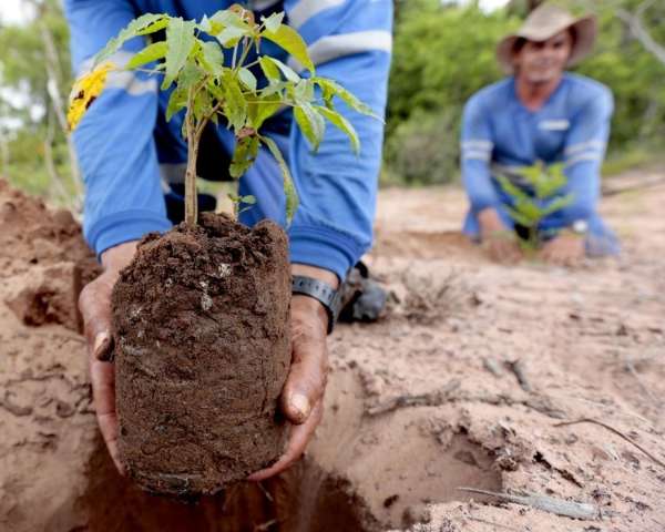 Campo Grande News &eacute; o vencedor na categoria foto do pr&ecirc;mio da &Aacute;guas