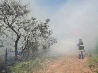 Chamas se alastraram rapidamente e Corpo de Bombeiros tiveram que controlar fogo para não queimar casa. (Foto: A Gazeta News)