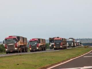 Caminhões transportando produções de MS e de outros estados pela BR-163 (Foto: Henrique Kawaminami)