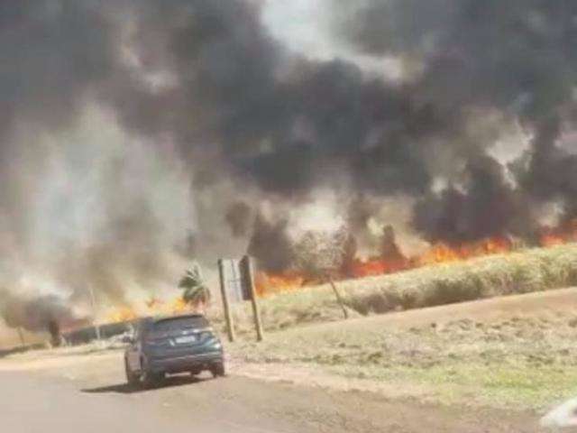 Inc&ecirc;ndios de grandes propor&ccedil;&otilde;es atingem planta&ccedil;&otilde;es em duas rodovias