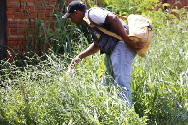Mutir&atilde;o contra dengue vistoria 757 im&oacute;veis e encontra 22 focos de mosquito