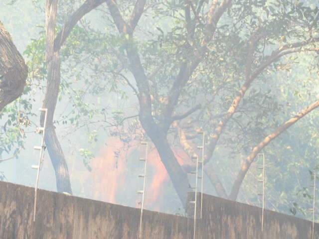  Fa&iacute;sca de inc&ecirc;ndio em mata atinge apartamento e provoca susto 