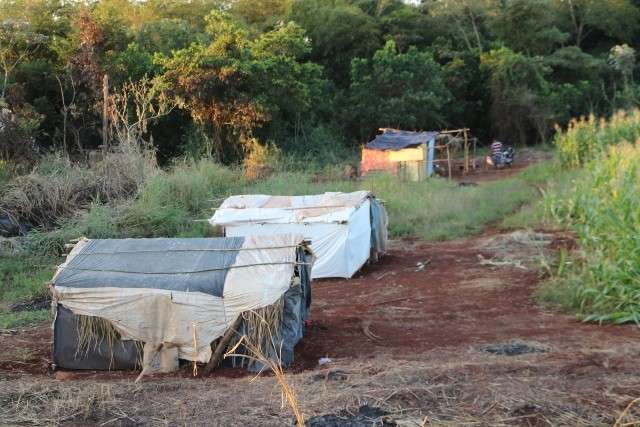 Ocupados h&aacute; quase quatro meses por &iacute;ndios, s&iacute;tios viram &ldquo;cidade de lona&rdquo;