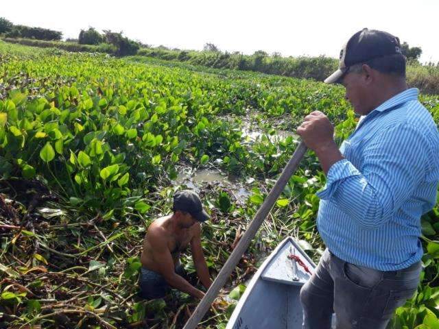 Com retroescavadeira no Rio Taquari, for&ccedil;a-tarefa desobstrui trecho de 15km