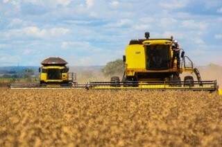 Maracaju terá indústria de processamento de milho e soja na cidade. (Foto: Marcos Ermínio)