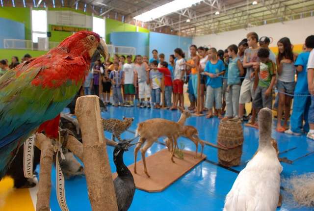 Comemora&ccedil;&atilde;o da semana do Meio Ambiente continua com palestras e plantio de mudas