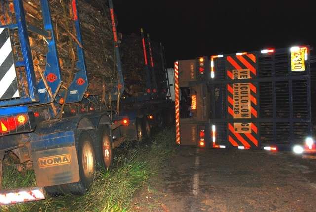 Carreta carregada com eucalipto tomba na MS-395 e interdita as duas pistas