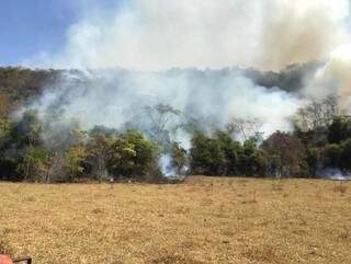 Incêndio florestal em Inocência no mês passado (Foto: Assessoria/ Bombeiros)