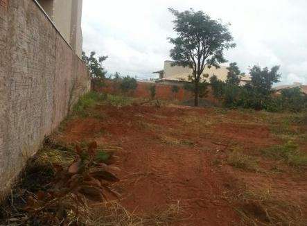 Ap&oacute;s furtos, moradores pagam limpeza de terreno da prefeitura no Carand&aacute;