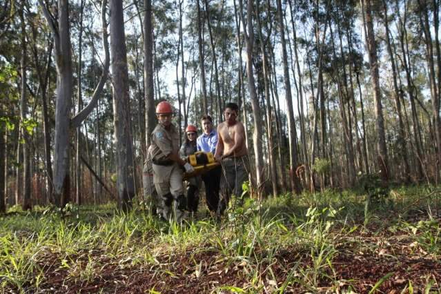 Trabalhador tem fratura exposta ao ser atingido por p&eacute; de eucalipto