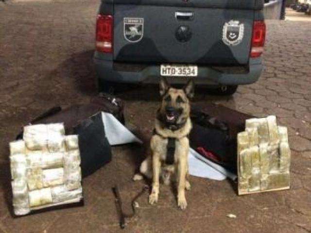Homem &eacute; preso ao tentar transportar R$ 20 mil em haxixe at&eacute; Goi&acirc;nia