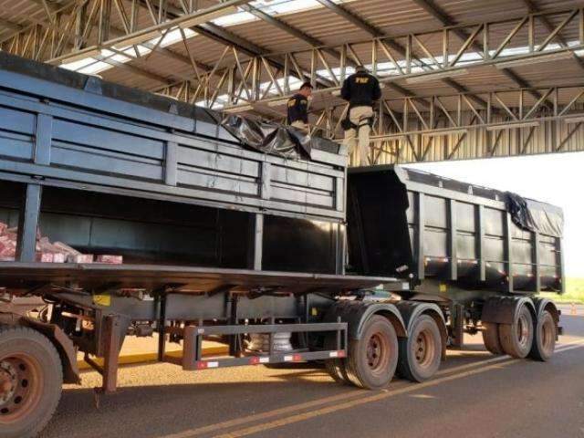 Com c&atilde;es farejadores, PRF apreende carreta com 1,4 tonelada de maconha