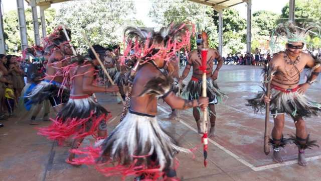 Minist&eacute;rio declara &aacute;rea de 33 mil hectares como terra ind&iacute;gena em MS