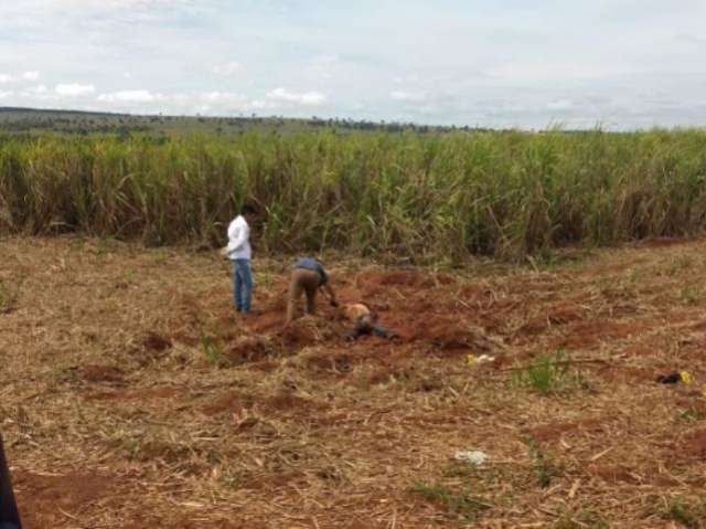 Ferido na perna, motorista &eacute; encontrado morto em canavial 