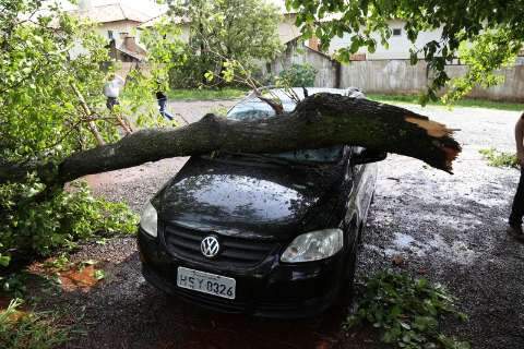 Árvore atinge carro que parou para se proteger de chuva de granizo