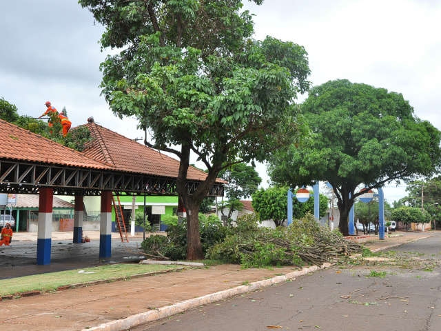  Temporal alaga casas, derruba &aacute;rvores e deixa parte de Dourados sem energia