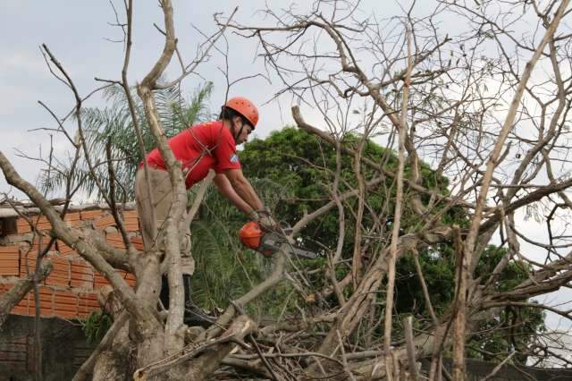 Bombeiros cortam &aacute;rvore que danificou casa na Comunidade Tia Eva