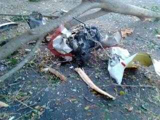 Peças do avião ficaram espalhadas no local do acidente, próximas da árvore atingida pela aeronave (Foto: Silvoney Cesário/Cassilândia Notícias)