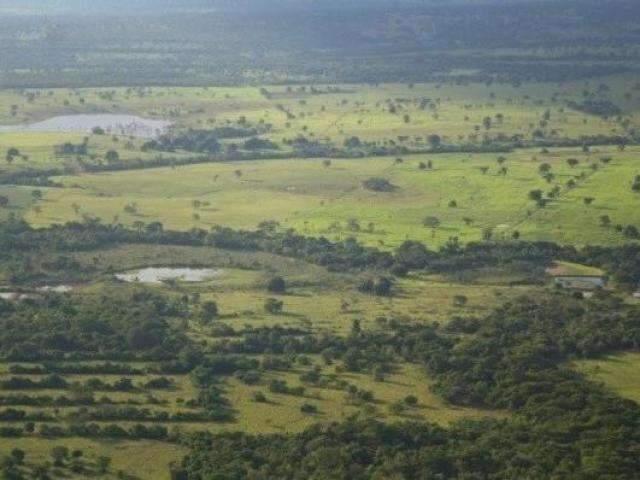 Metade das propriedades rurais de MS ainda n&atilde;o foi inscrita no CAR