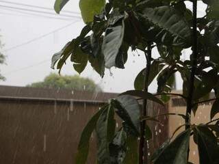 Chove forte em Dourados nesta segunda-feira (Foto: Helio de Freitas)