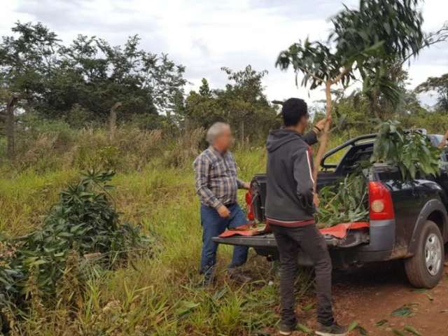 Leitor flagra descarte de lixo irregular em terreno baldio no Rita Vieira