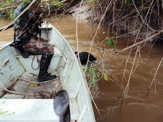 Policiais livraram jacaré de anzol no rio Nioaque. (Foto: Divulgação)
