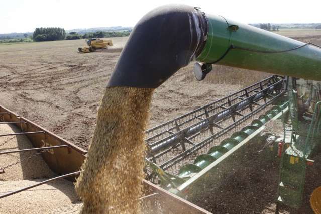 Produtividade da soja e milho cai em MS devido a fen&ocirc;meno clim&aacute;tico