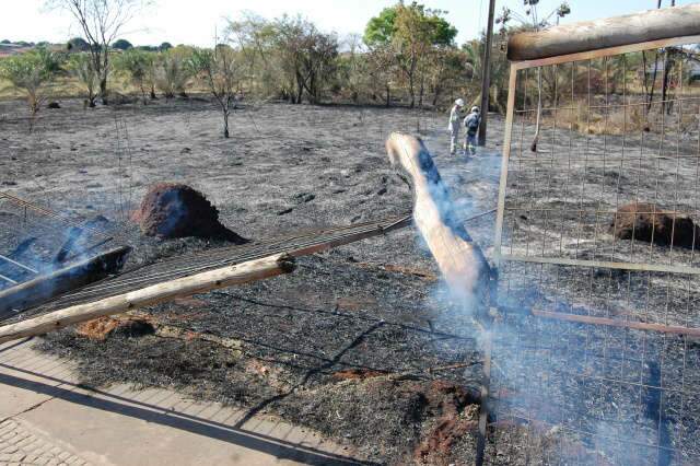 Bombeiros levam 7h para controlar fogo que consumiu quase metade de parque