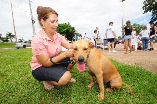 Tribunal de Justi&ccedil;a nega volta da guarda do c&atilde;o Scooby &agrave; Prefeitura