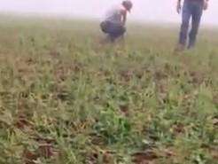 Tromba d&rsquo;&aacute;gua e granizo arrasam lavouras de soja em dois munic&iacute;pios