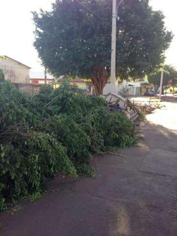 Leitor registra limpeza pela metade da prefeitura no bairro Coophatrabalho