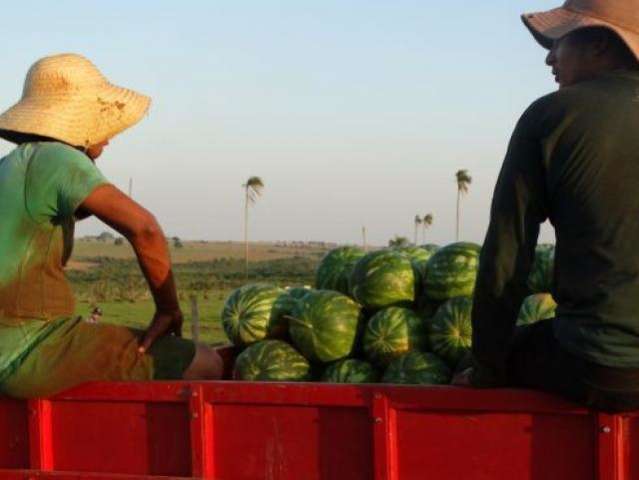 Maior evento de MS sobre tecnologia para agricultura familiar ocorre em abril
